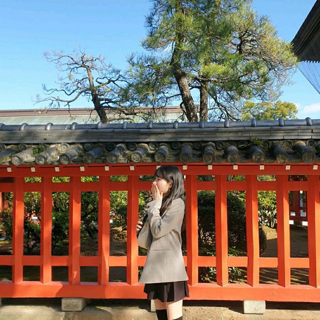 한적함을 즐길 수 있는 하코자키궁⛩