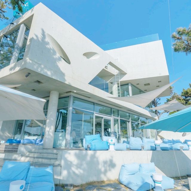 웨이브온 커피집으로 다 같이 웨이브온~ 🌊