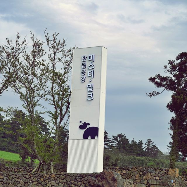 🐄 미스터밀크 한림공장, 제주도 유제품의 요람