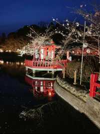 【千葉】今週末が見頃!!桜の名所100選の穴場お花見スポット