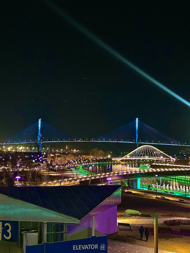 작년 11월 전면개방! 부산 대규모 야경명소🌃 친수공원