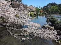 Shinjuku Gyoen National Garden