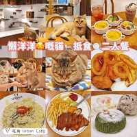 懶洋洋🥰嘅貓🐈抵食🍽️二人餐