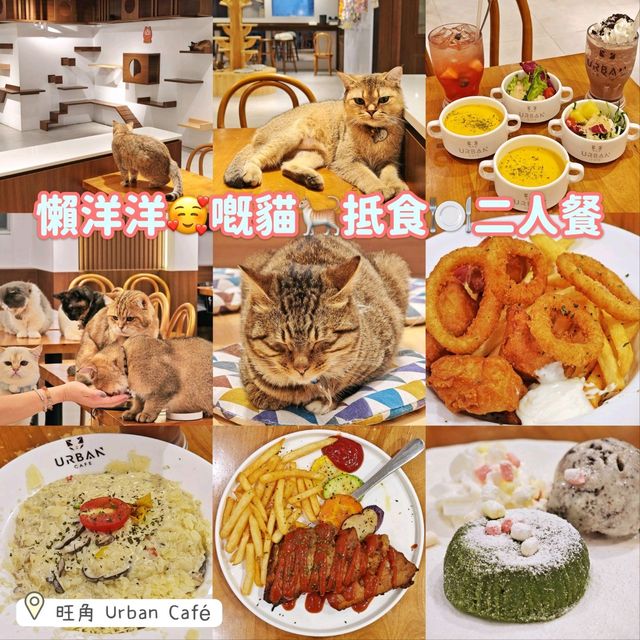 懶洋洋🥰嘅貓🐈抵食🍽️二人餐