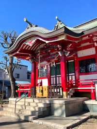 【本多八幡神社/東京都】朱塗りのコンクリート社殿と夫婦木