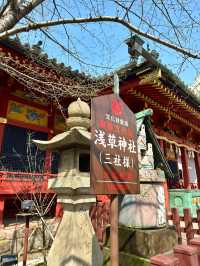 東京　東京観光　浅草は浅草寺だけじゃない！あの神社も忘れてませんか？