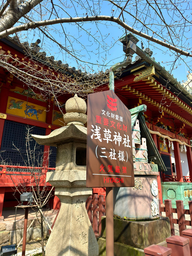 東京　東京観光　浅草は浅草寺だけじゃない！あの神社も忘れてませんか？
