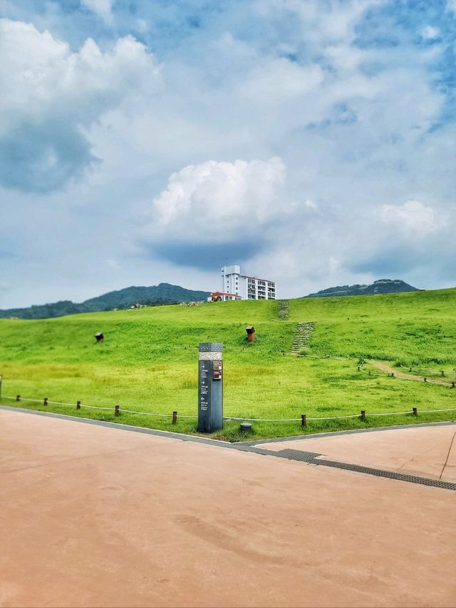 도심에서 즐기는 초록동산 고분군💚