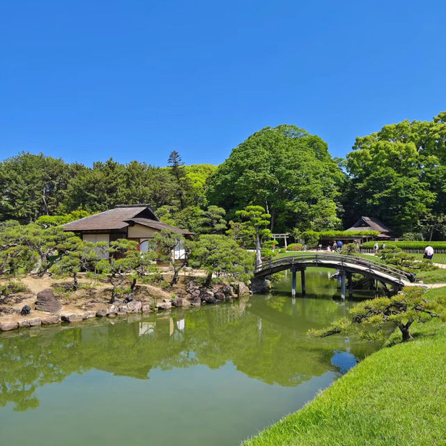 福岡島城中央公園：綠意盎然的城市綠洲，與大自然合而為一