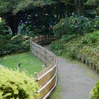下田公園：春天好去處