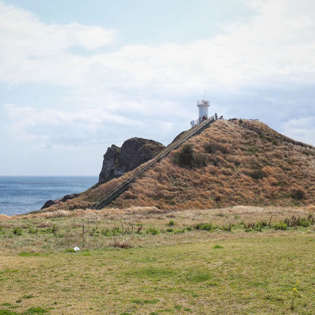 足摺岬：絕美海岬風景區，適合春天旅遊