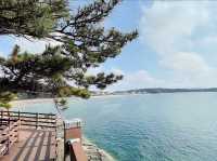 One of the cleanest beaches in Korea