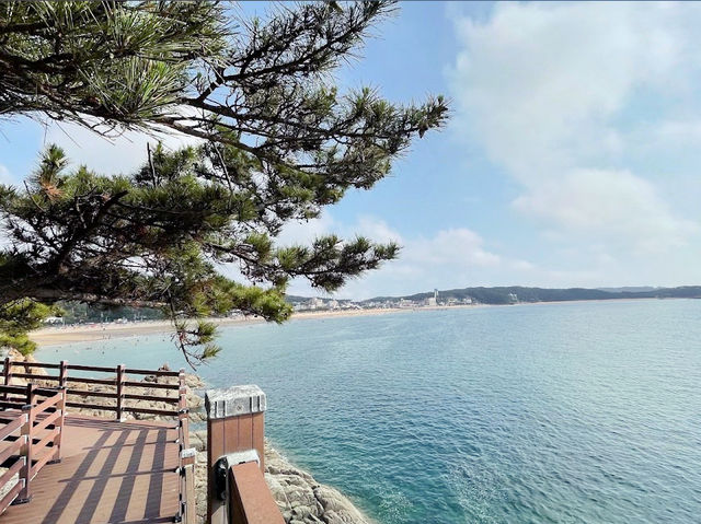 One of the cleanest beaches in Korea