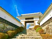 A quaint town steeped in history and natural beauty 🇯🇵