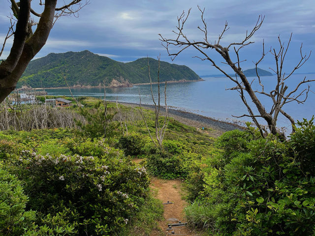 【糸島】福岡でトトロの森探検&絶品塩プリンを食す