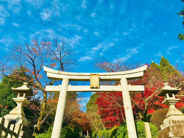 Exploring Kyoto’s rich Buddhist history 🇯🇵