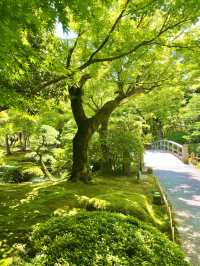 【島根　松江】庭園の中を歩ける