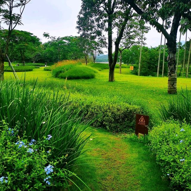 環西麗湖綠道 環西麗湖綠道