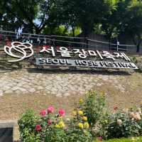 장미 축제 포토존 모음🩷