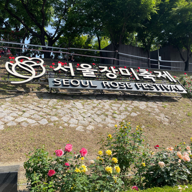 장미 축제 포토존 모음🩷
