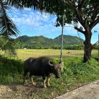 Siargao Island tour