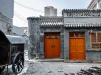 겨울의 팔방십삼항 골목 골목….