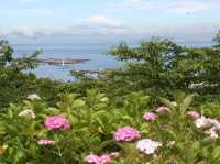 繡球花公園