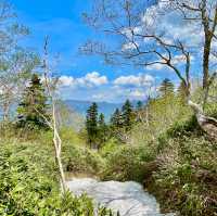Unveil Hokkaido's Alpine Wonders