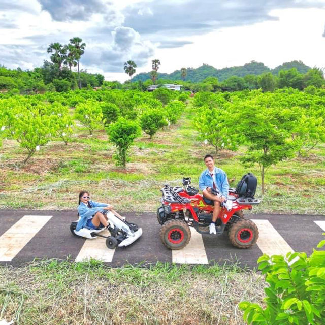 ที่พักเขาใหญ่ท่ามกลางธรรมชาติและขุนเขา มาดีปากช่อง