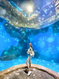 全港最大水族館「海洋公園」🐬🐠