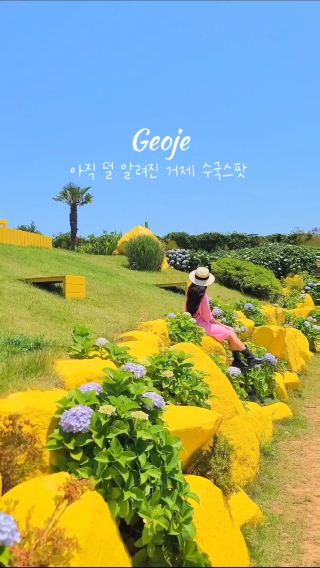 거제에서 첫공개되는 수국스팟💜