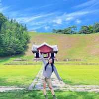 여름에 더욱 기대되는 #영월여행 다녀왔어요🌳