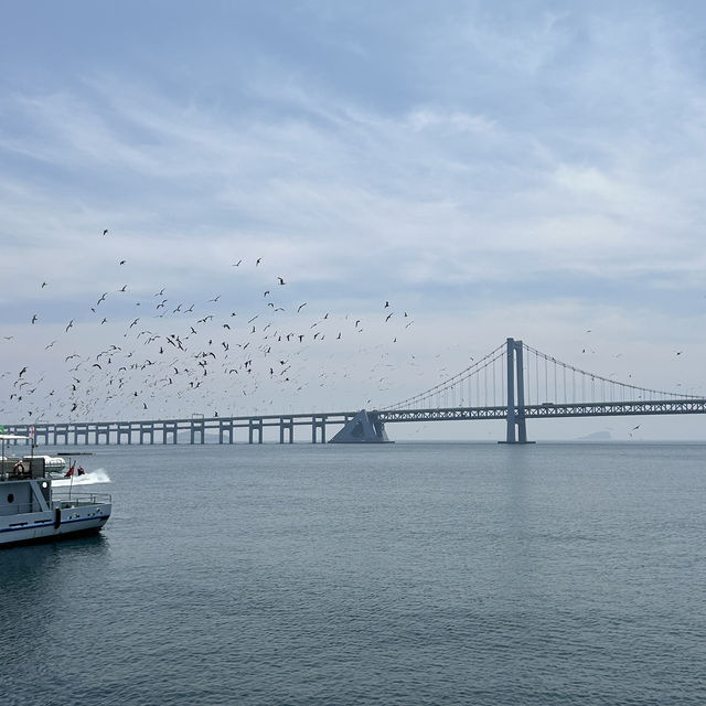전세계에서 가장 큰 광장, 성해광장☀️