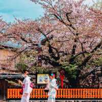 ย่าน Gion (祇園) เมืองเก่าแหล่งชมเกอิชา🎎