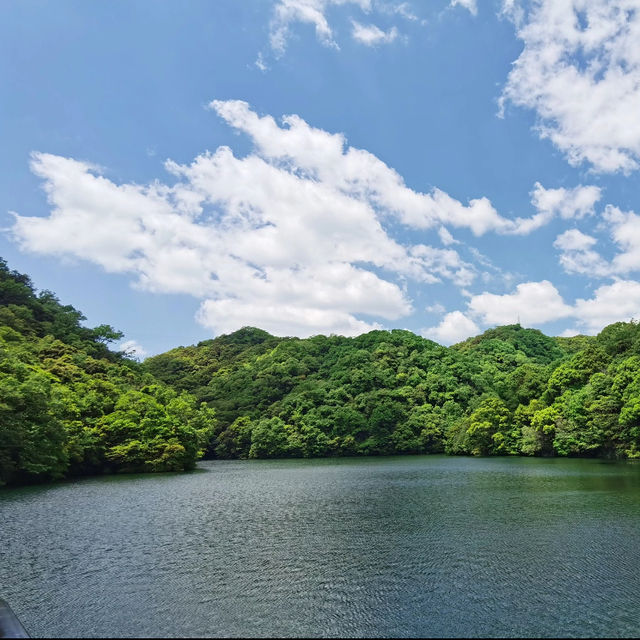 「沖繩景點：安波之滝，感受大自然之美」