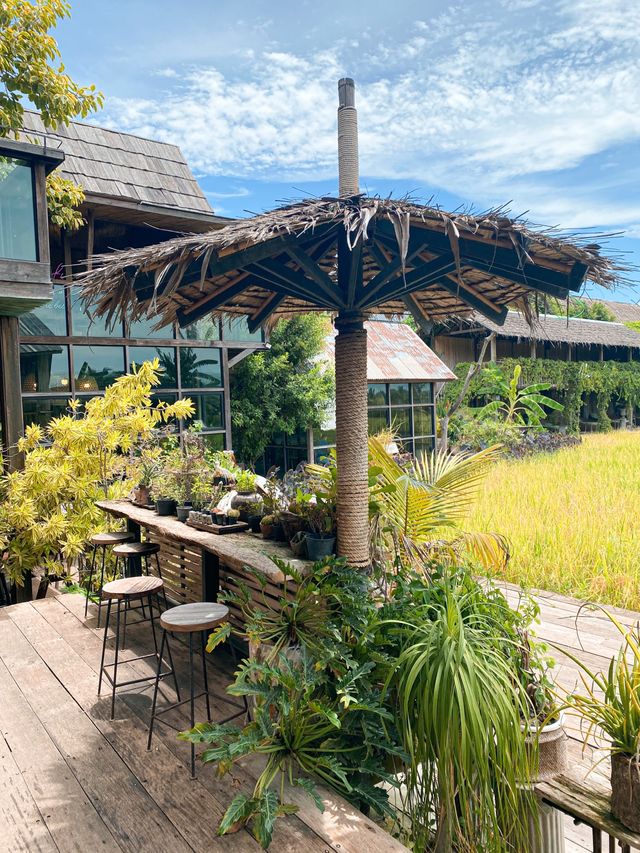 Stunning Café in Kanchanaburi Overlooking the Tiger Cave Temple 🇹🇭