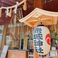 【神楽坂⛩️】シェアサイクル「LUUP」で神社巡りプラン🎋