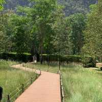 ร้าน Into the forest @Krabi