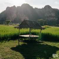 เนินมะปราง