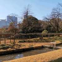 東京市中心綠洲