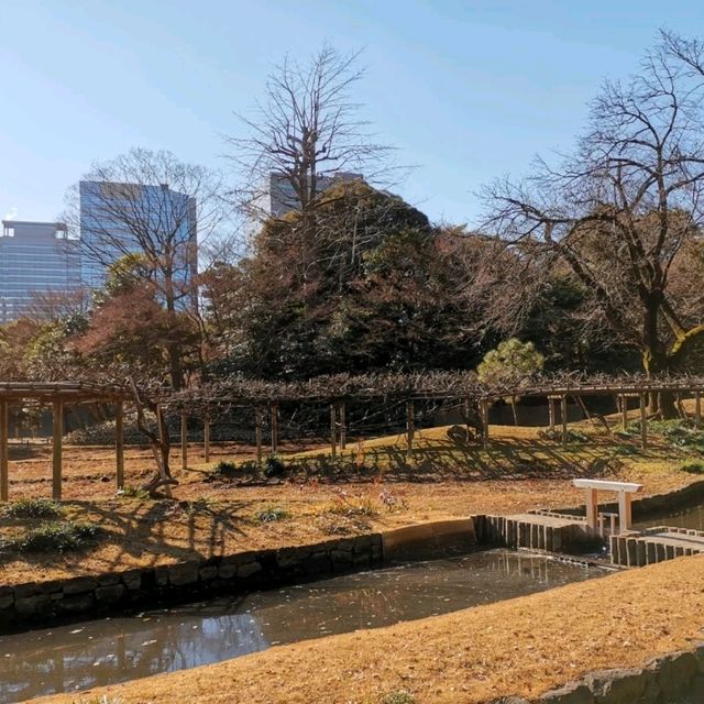 東京市中心綠洲
