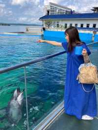 【能登】ジンベイザメに会える幻想的な水族館