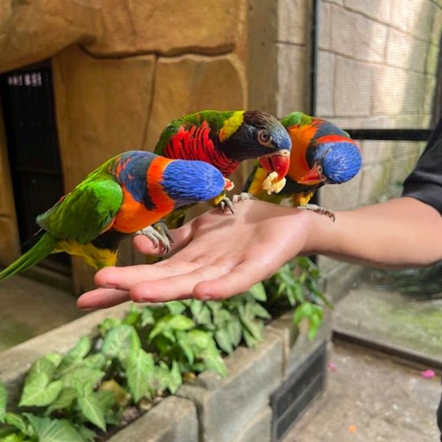 Melaka Butterfly & Reptile Sanctuary