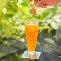 Arun Thai Cuisine 
