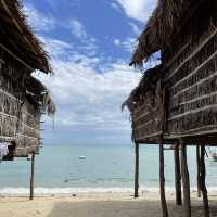 หมู่เกาะสุรินทร์ ดำน้ำฟินมากก 