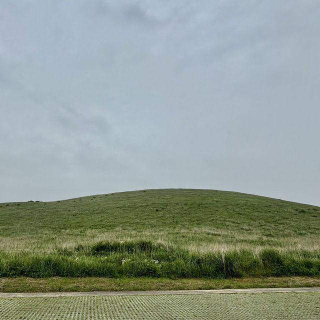제주여행🏝️ 열여섯번째 오름, 서쪽 대표 오름 새별오름💫