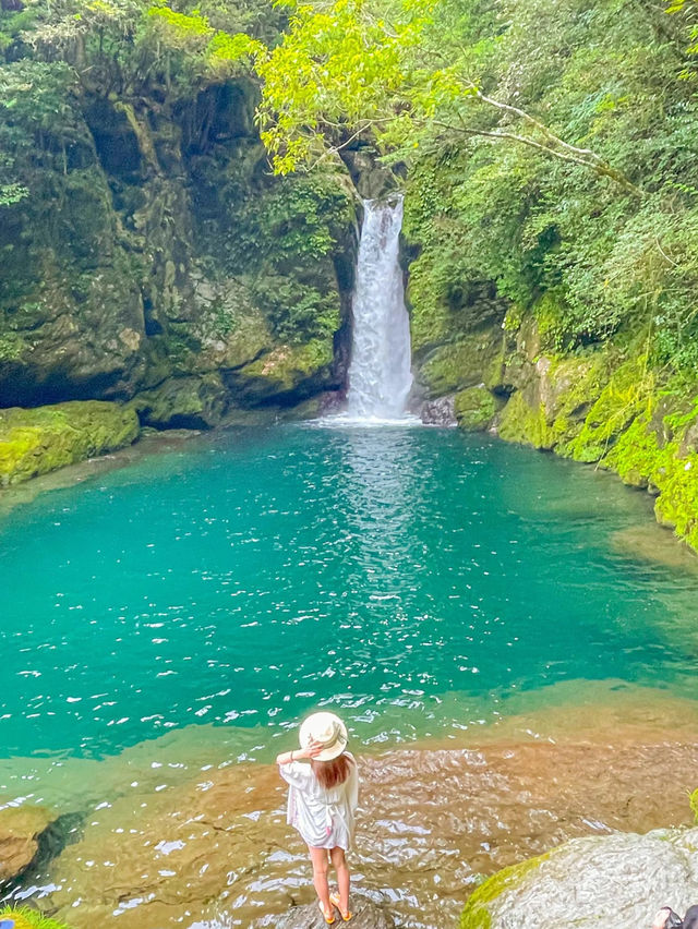 【高知 にこ淵】神秘的なブルーの滝壺が凄い!!これが噂の仁淀ブルー💙