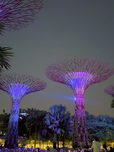 Singapore!無料で見られる!ナイトショー2選 | Trip.com Singapore!無料で見られる!ナイトショー2選 | Trip.com