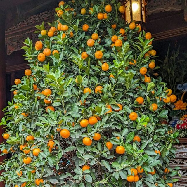 👨‍👩‍👧‍👦 Family Adventure in Hoi An! 🌟