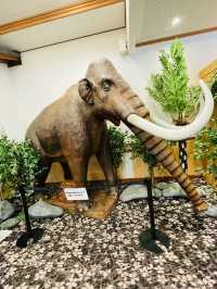 【長崎県:野母崎エリア】野母崎観光のランチにおすすめ！のもん茶屋
